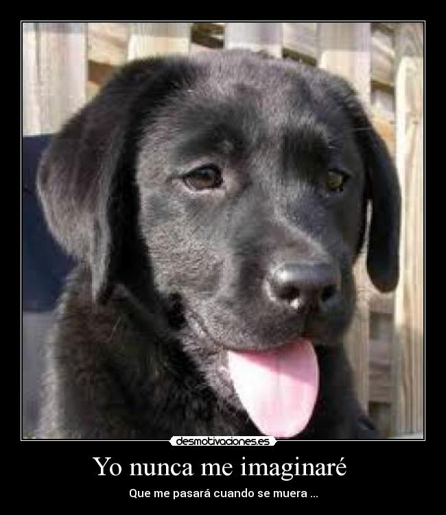 Yo nunca me imaginaré  - Que me pasará cuando se muera ...