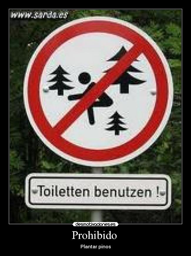 Prohibido - Plantar pinos