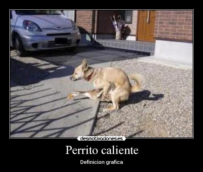 Perrito caliente - Definicion grafica