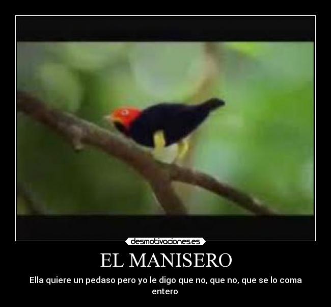 EL MANISERO - 