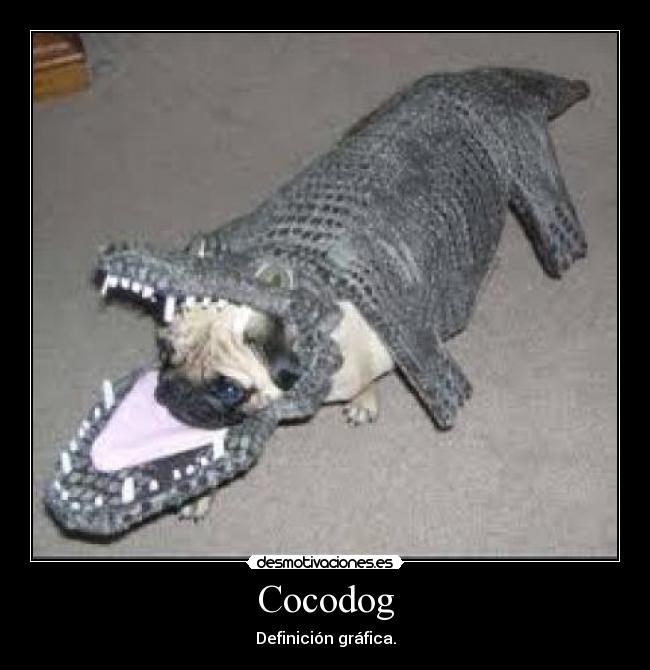 Cocodog - 