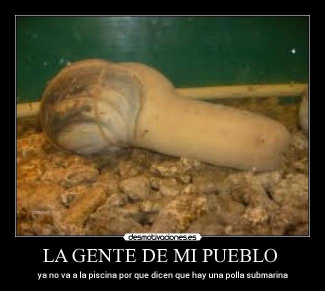 LA GENTE DE MI PUEBLO - ya no va a la piscina por que dicen que hay una polla submarina