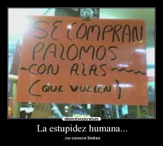 carteles estupidez humana desmotivaciones