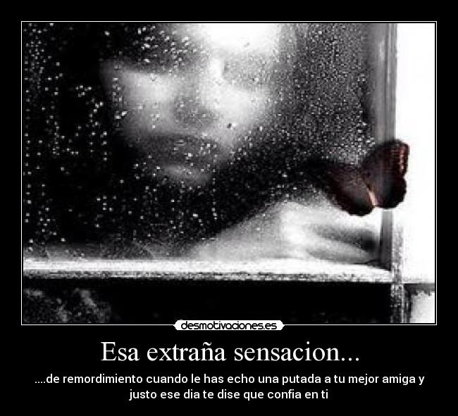 Esa extraña sensacion... - ....de remordimiento cuando le has echo una putada a tu mejor amiga y
justo ese dia te dise que confia en ti