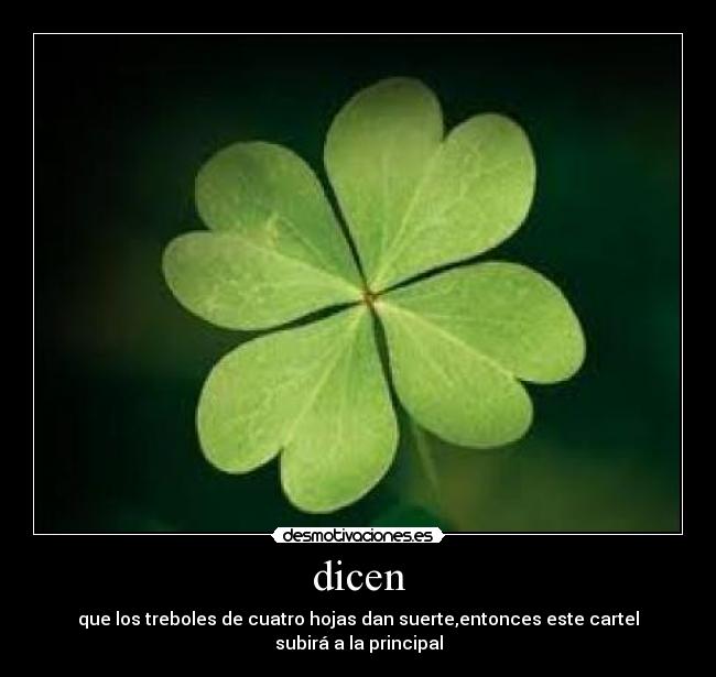 dicen -