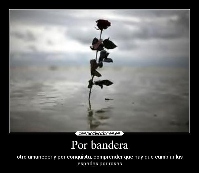 Por bandera - 