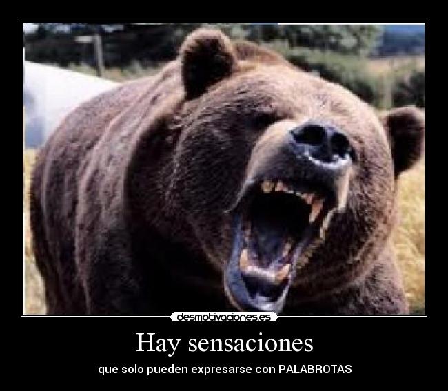 Hay sensaciones - 