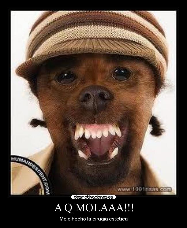A Q MOLAAA!!! -