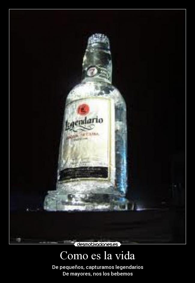 Como es la vida - 