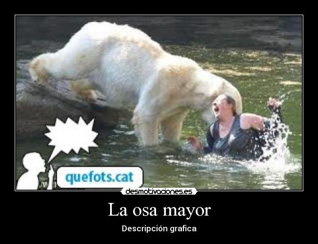 La osa mayor - Descripción grafica