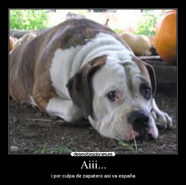 Aiii... - i por culpa de zapatero asi va españa