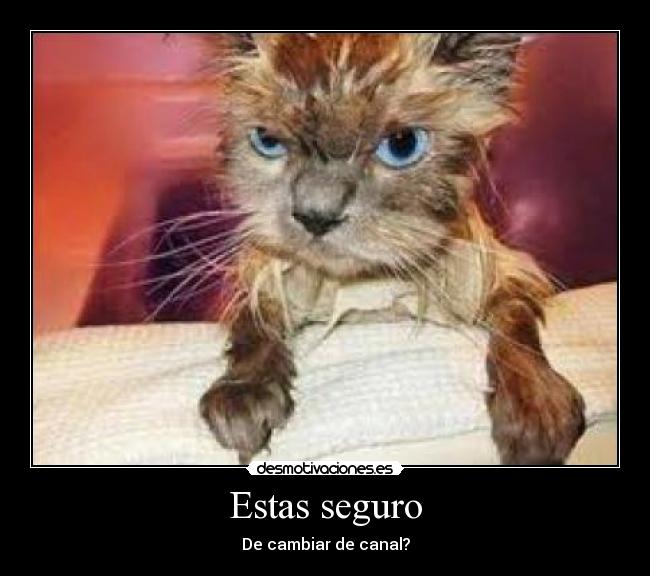 Estas seguro - De cambiar de canal?