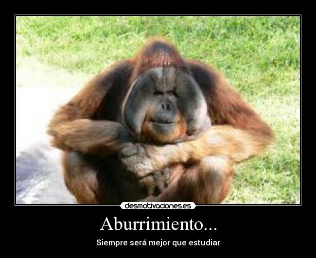Aburrimiento... - 