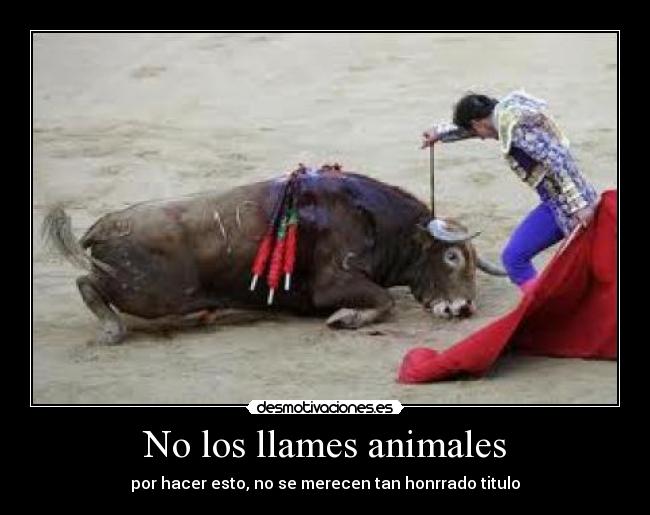 carteles animales los llames animales desmotivaciones