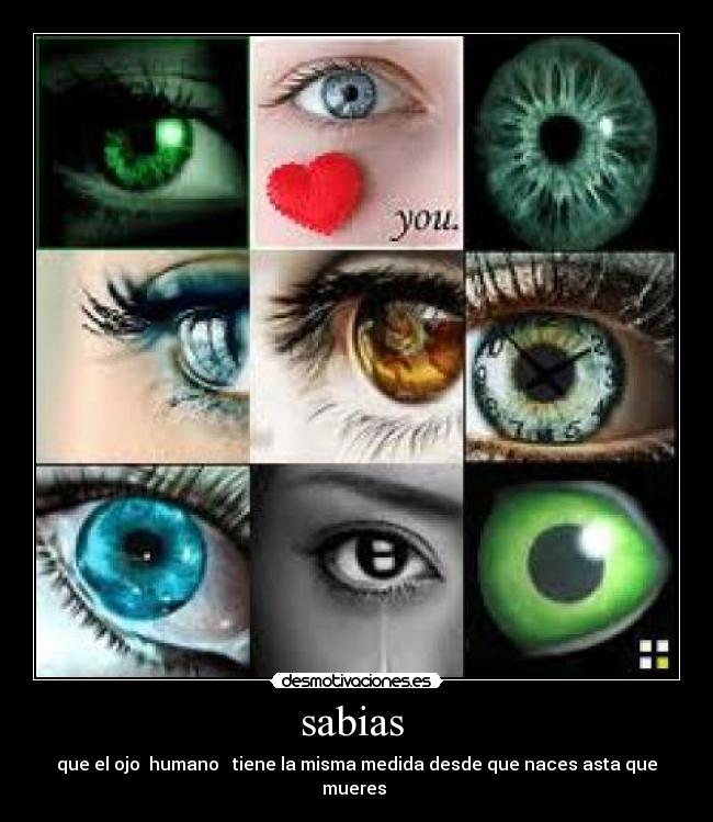 sabias  - 