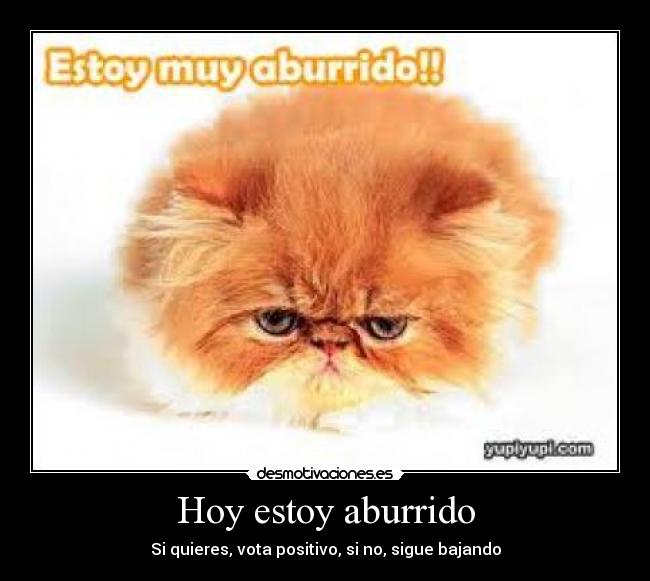 Hoy estoy aburrido -