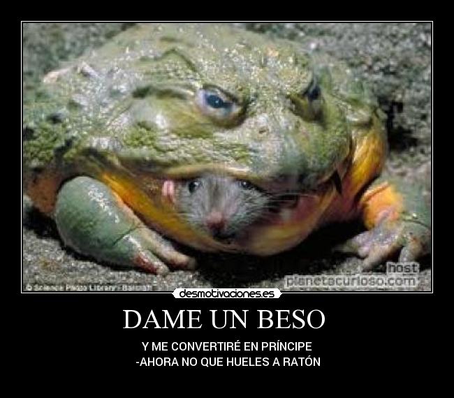 DAME UN BESO -