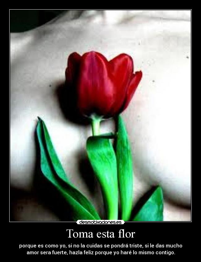 Toma esta flor -