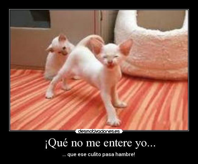 ¡Qué no me entere yo... -