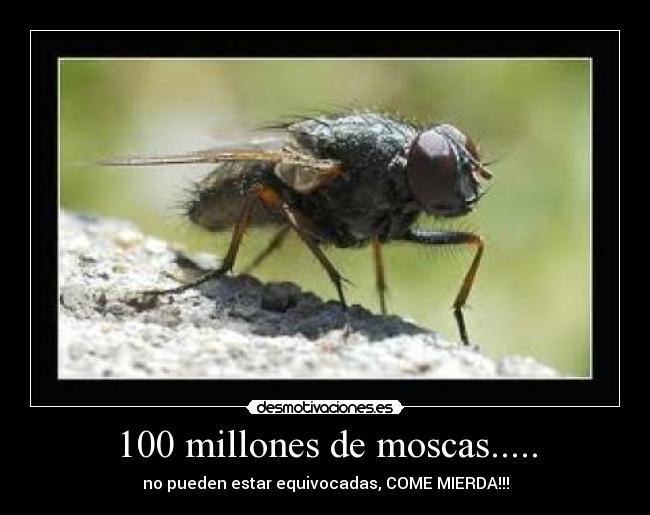 100 millones de moscas..... - no pueden estar equivocadas, COME MIERDA!!!