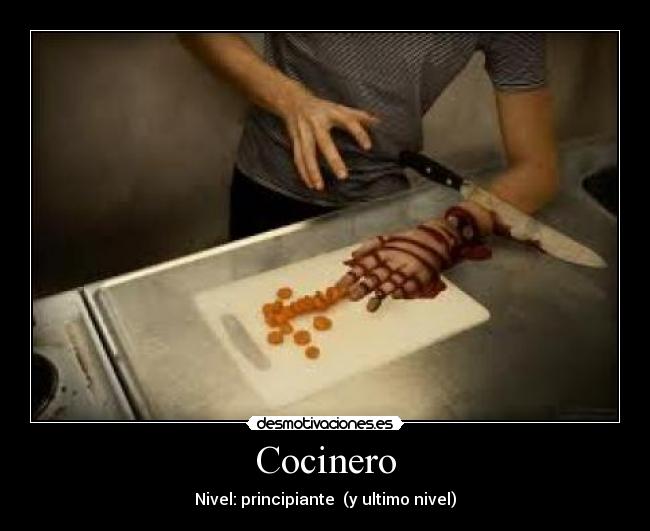 Cocinero - 