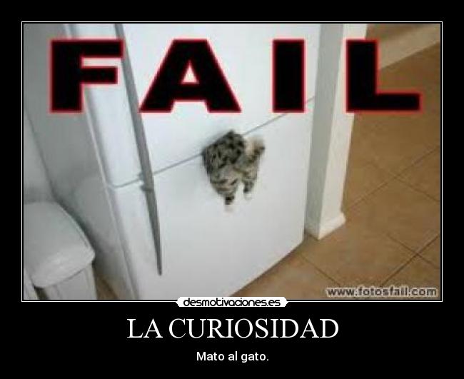 LA CURIOSIDAD - Mato al gato.