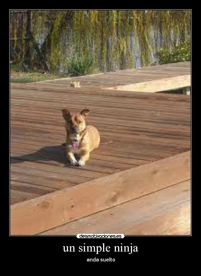 carteles asdasdfd desmotivaciones