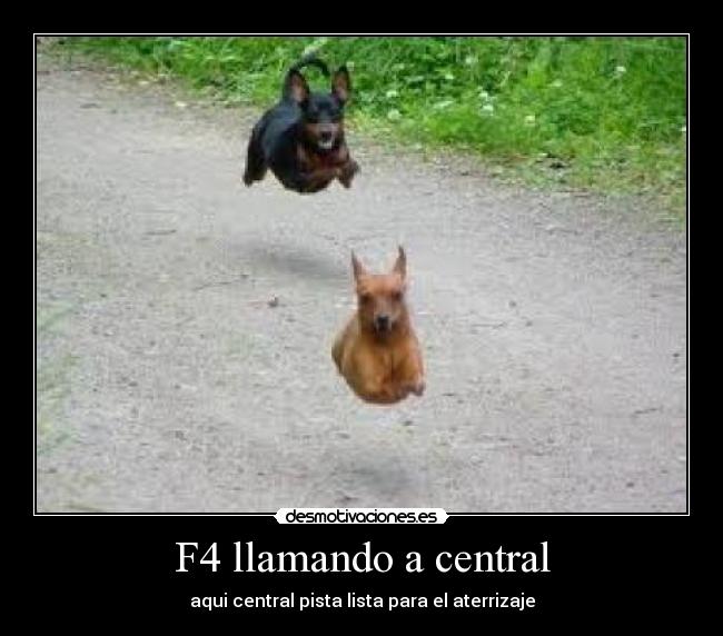 F4 llamando a central -