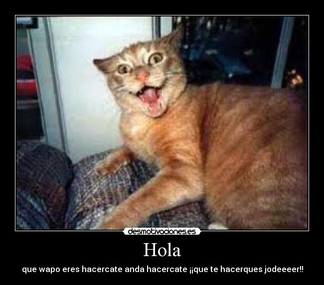 Yo también me arrepiento - de haber elegido francés como asignatura optativa.