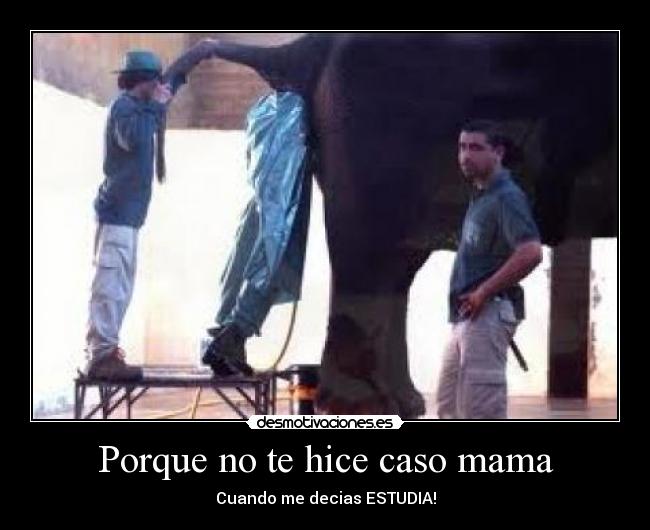 Porque no te hice caso mama - 