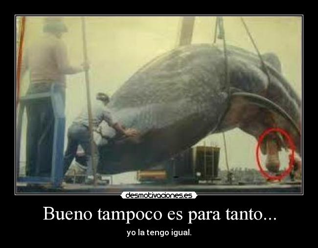 Bueno tampoco es para tanto... - yo la tengo igual.