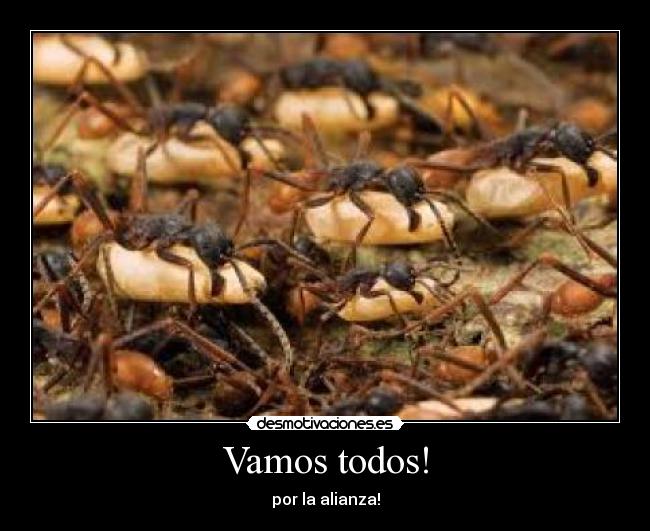 Vamos todos! - por la alianza!