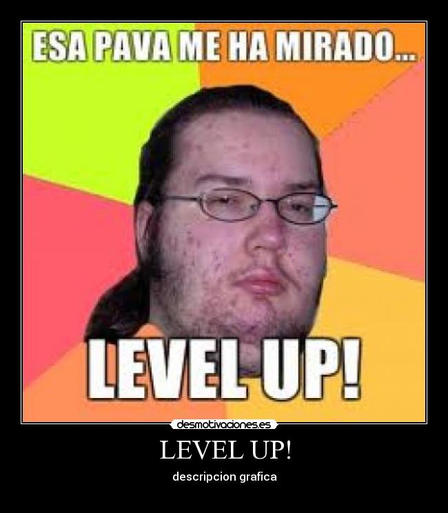 LEVEL UP! - descripcion grafica