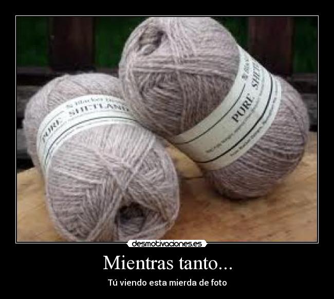 Mientras tanto... - Tú viendo esta mierda de foto