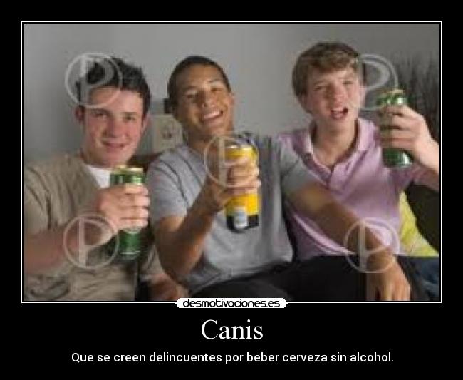Canis -