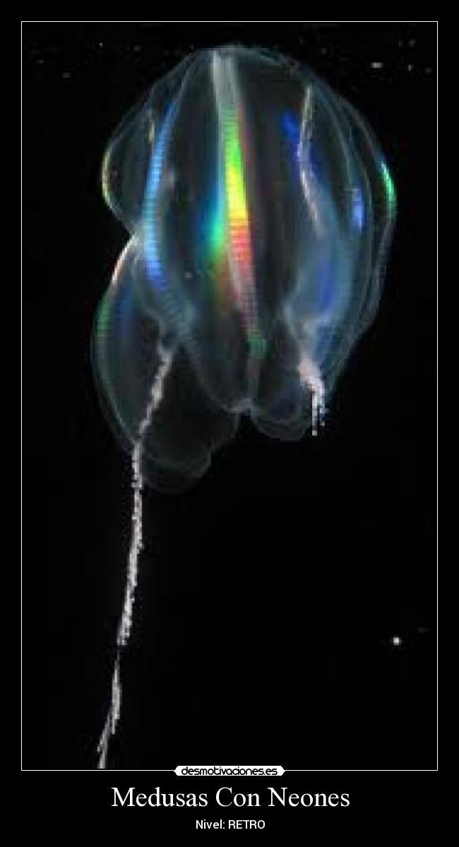 Medusas Con Neones - Nivel: RETRO