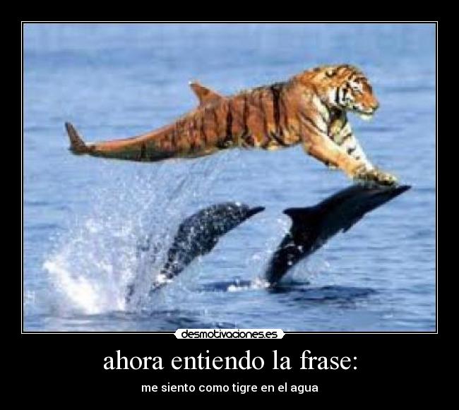 ahora entiendo la frase: -