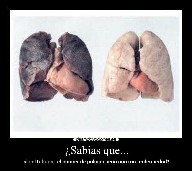 ¿Sabias que... -