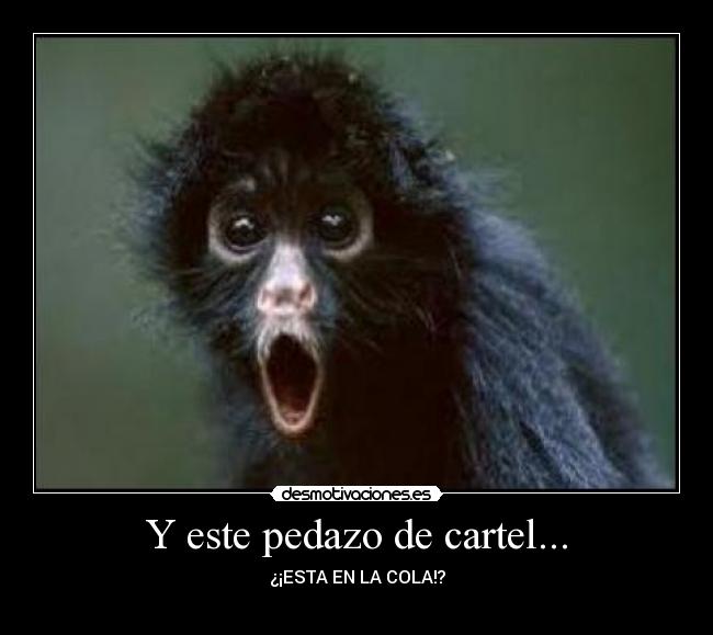 Y este pedazo de cartel... - 