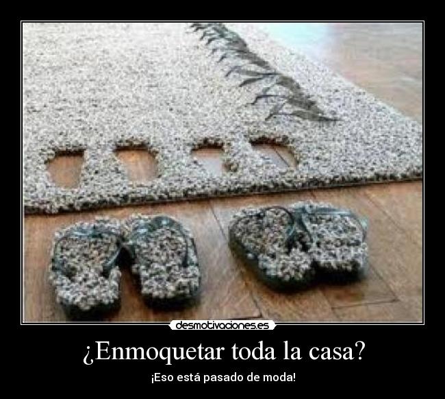 ¿Enmoquetar toda la casa? -