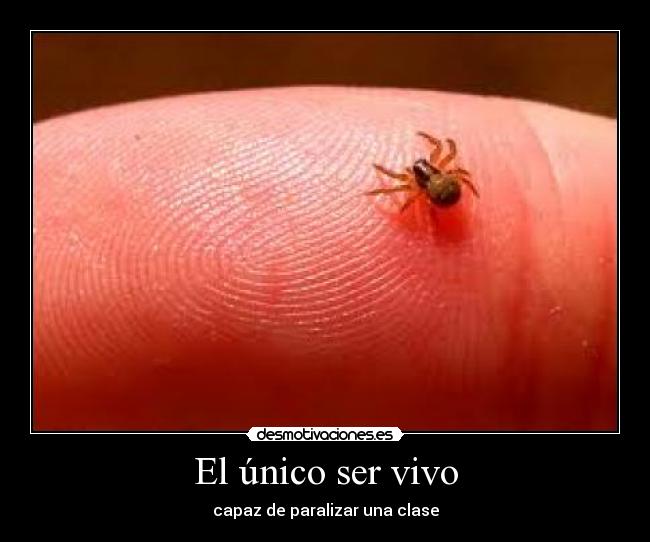El único ser vivo - capaz de paralizar una clase