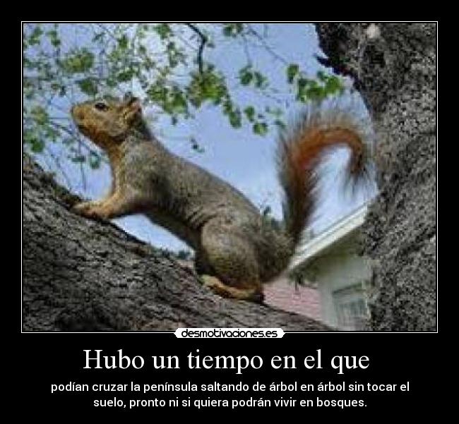 carteles ardillas arboles vivir desmotivaciones