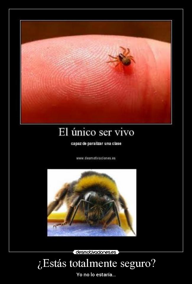 ¿Estás totalmente seguro? - Yo no lo estaría...