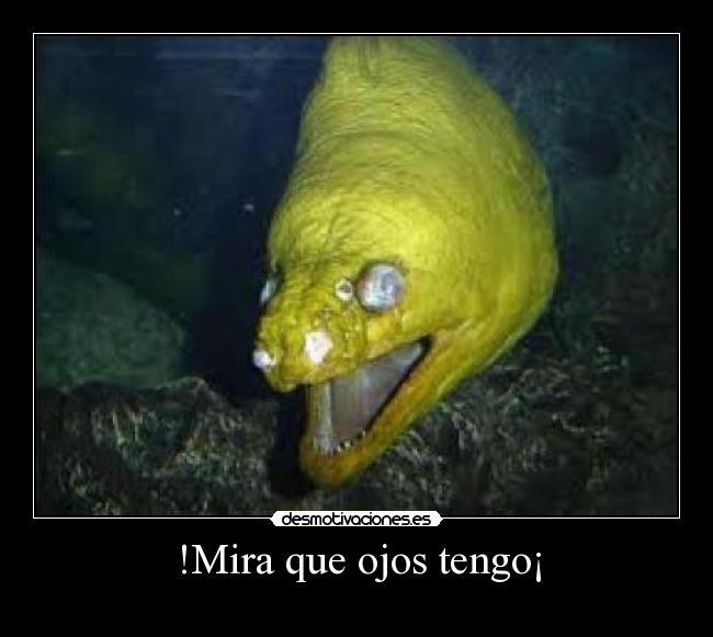 !Mira que ojos tengo¡ -