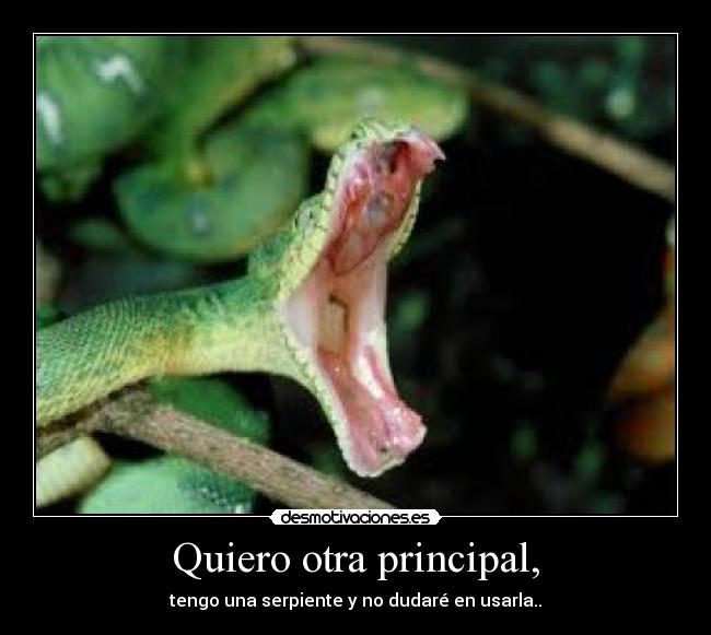 Quiero otra principal, - tengo una serpiente y no dudaré en usarla..