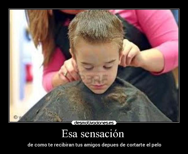 carteles risaa desmotivaciones