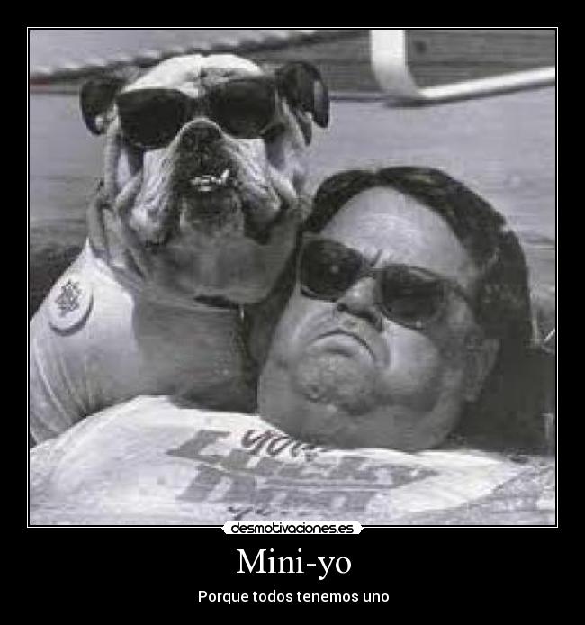 carteles perro perros gordo gordos mini minis porque todos tenemos uno desmotivaciones