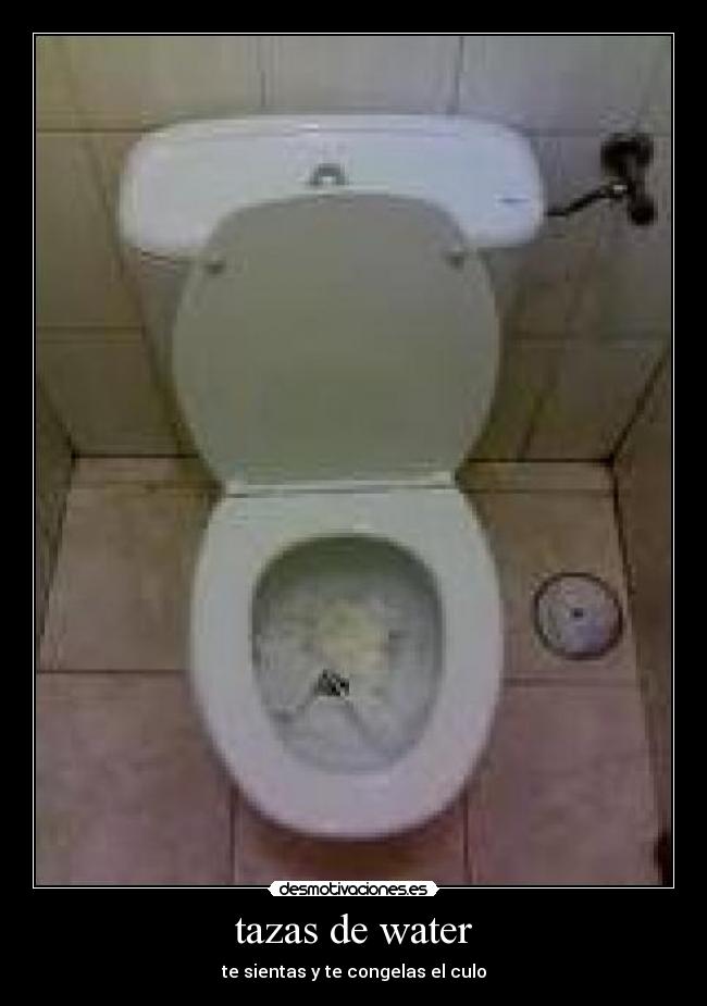 tazas de water - 