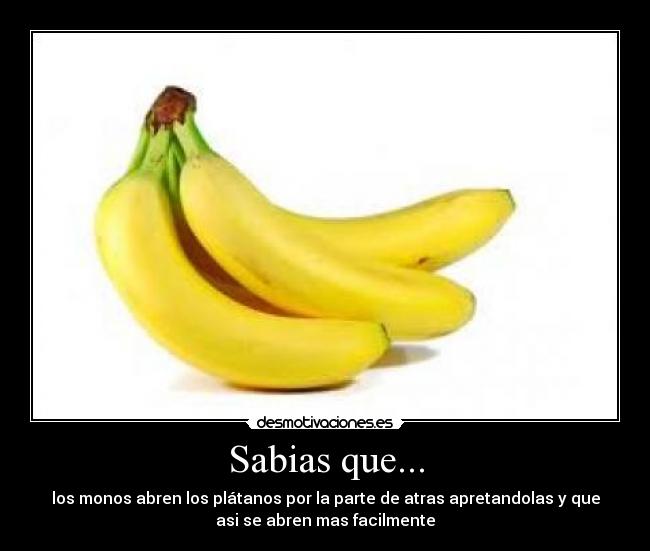 Sabias que... -