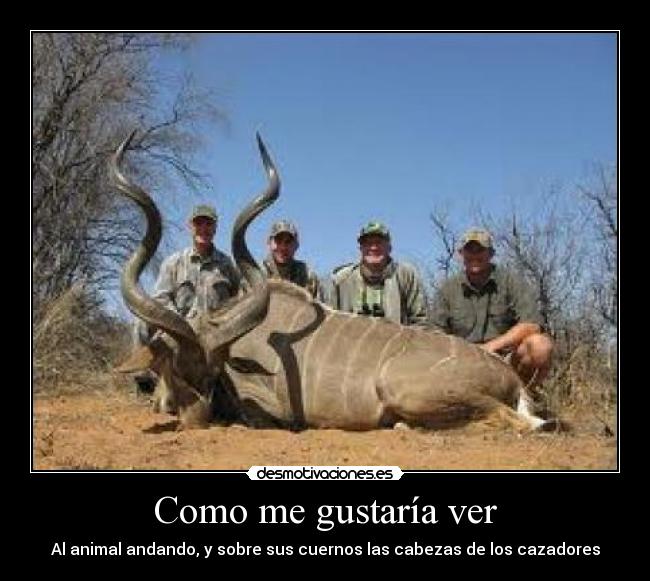 carteles animal muerto desmotivaciones